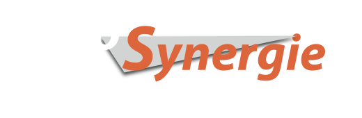 ProSynergie Consulting